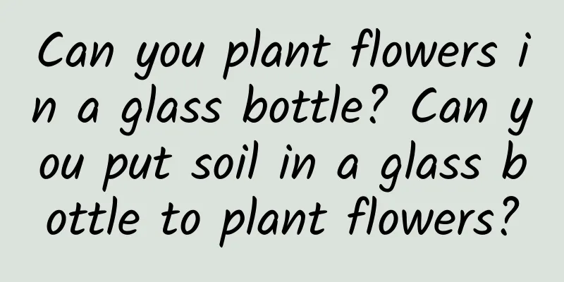 Can you plant flowers in a glass bottle? Can you put soil in a glass bottle to plant flowers?