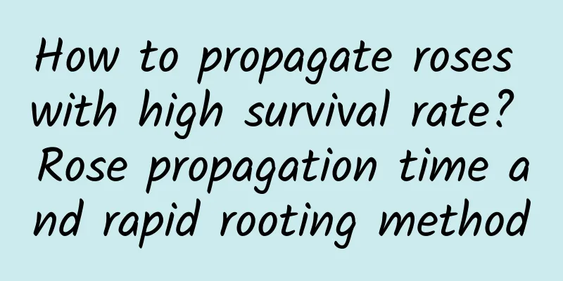 How to propagate roses with high survival rate? Rose propagation time and rapid rooting method