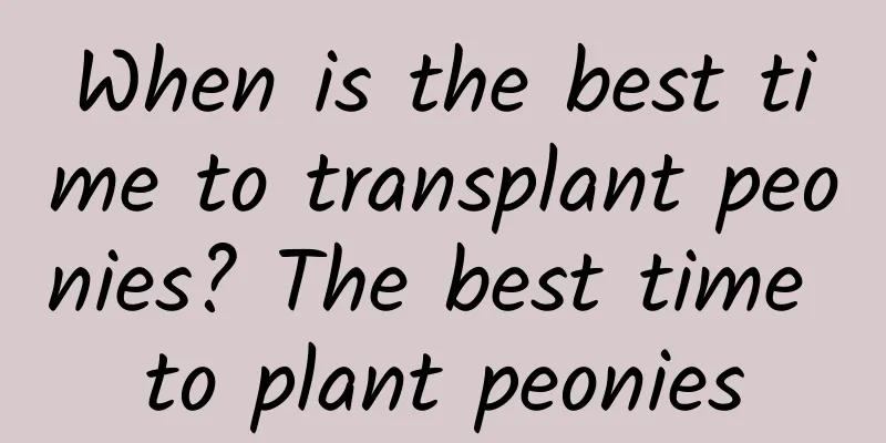 When is the best time to transplant peonies? The best time to plant peonies