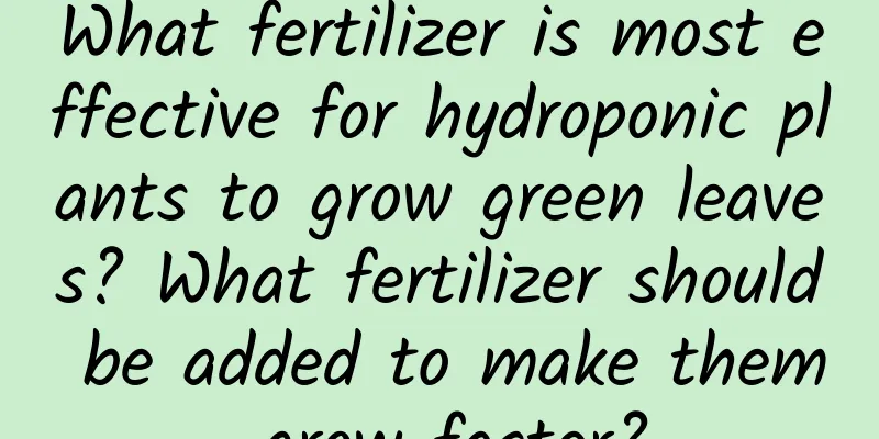 What fertilizer is most effective for hydroponic plants to grow green leaves? What fertilizer should be added to make them grow faster?