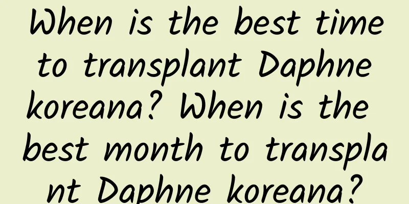 When is the best time to transplant Daphne koreana? When is the best month to transplant Daphne koreana?