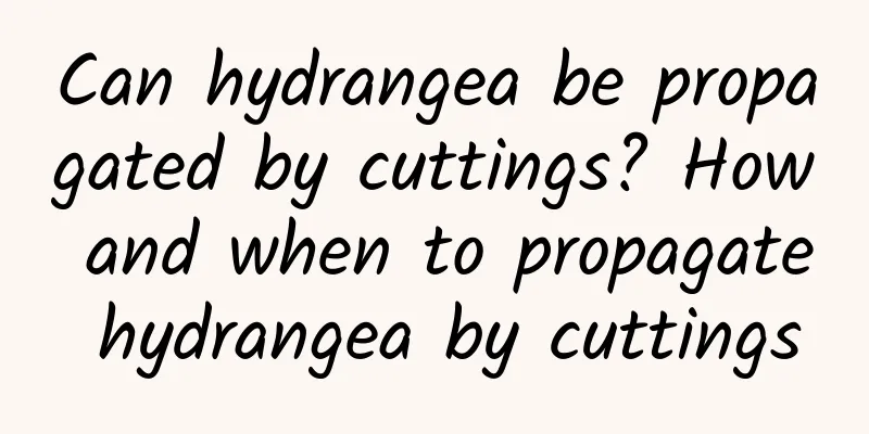 Can hydrangea be propagated by cuttings? How and when to propagate hydrangea by cuttings