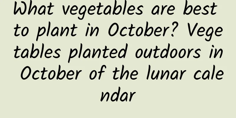What vegetables are best to plant in October? Vegetables planted outdoors in October of the lunar calendar