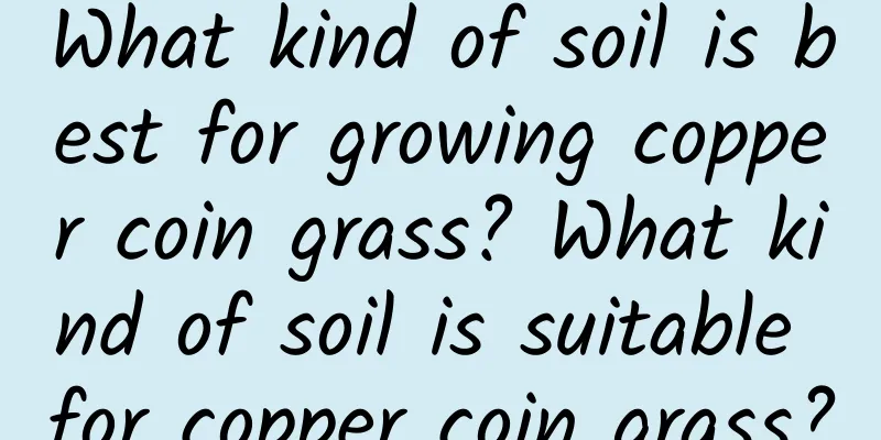 What kind of soil is best for growing copper coin grass? What kind of soil is suitable for copper coin grass?