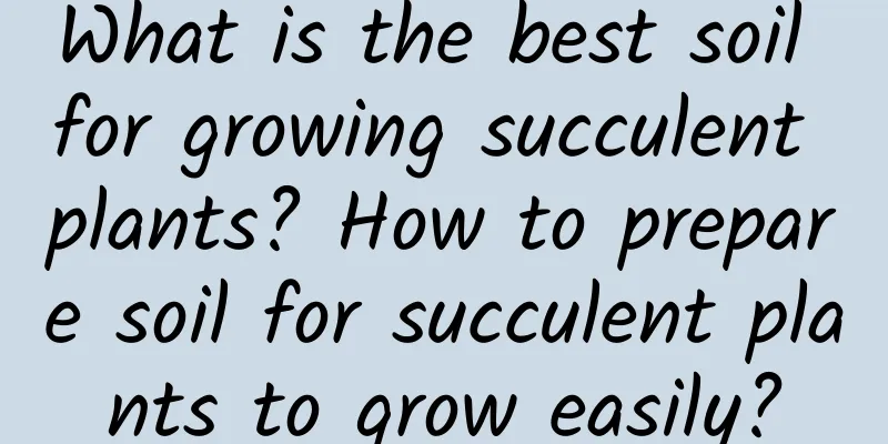 What is the best soil for growing succulent plants? How to prepare soil for succulent plants to grow easily?