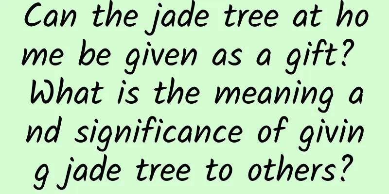 Can the jade tree at home be given as a gift? What is the meaning and significance of giving jade tree to others?