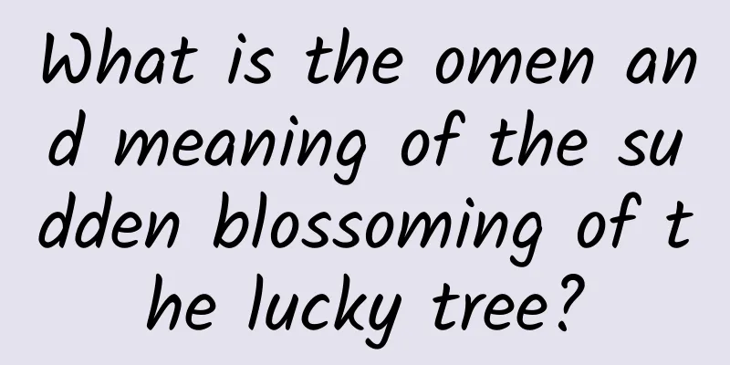 What is the omen and meaning of the sudden blossoming of the lucky tree?