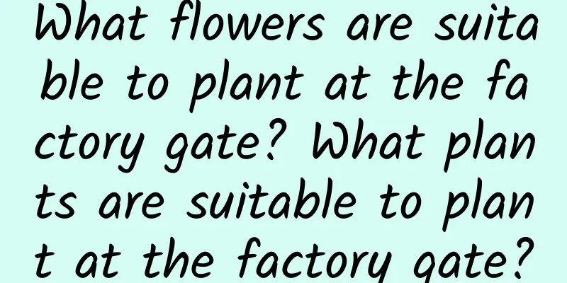 What flowers are suitable to plant at the factory gate? What plants are suitable to plant at the factory gate?