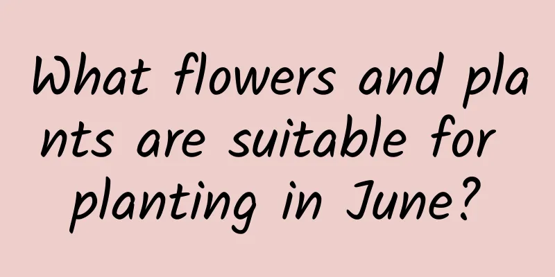 What flowers and plants are suitable for planting in June?