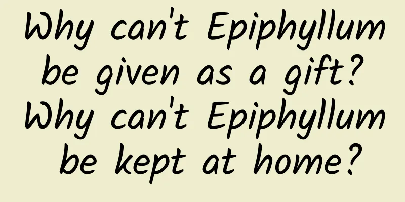 Why can't Epiphyllum be given as a gift? Why can't Epiphyllum be kept at home?