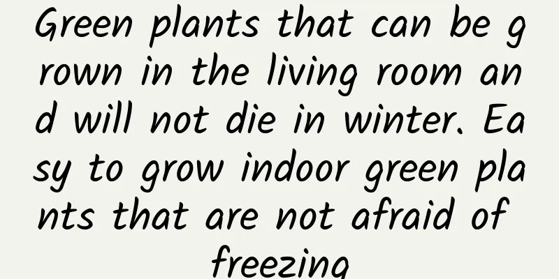 Green plants that can be grown in the living room and will not die in winter. Easy to grow indoor green plants that are not afraid of freezing
