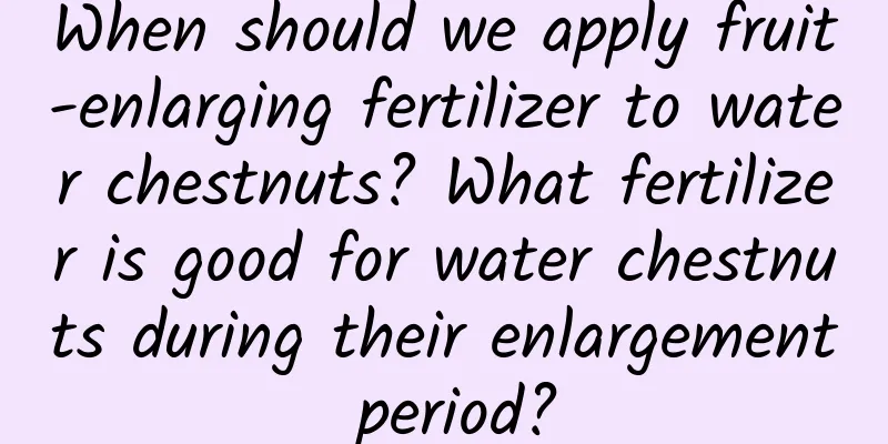 When should we apply fruit-enlarging fertilizer to water chestnuts? What fertilizer is good for water chestnuts during their enlargement period?