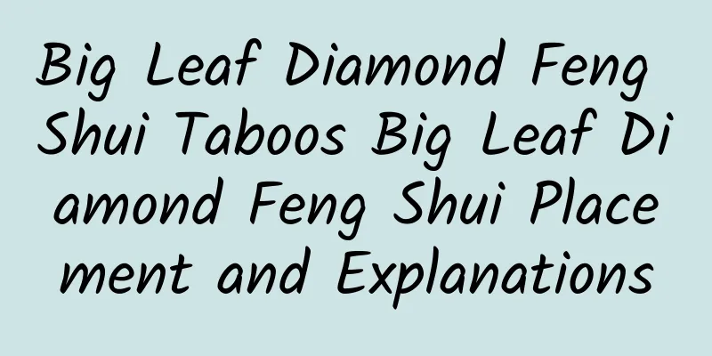 Big Leaf Diamond Feng Shui Taboos Big Leaf Diamond Feng Shui Placement and Explanations