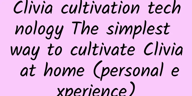 Clivia cultivation technology The simplest way to cultivate Clivia at home (personal experience)