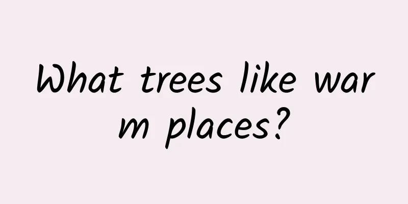 What trees like warm places?