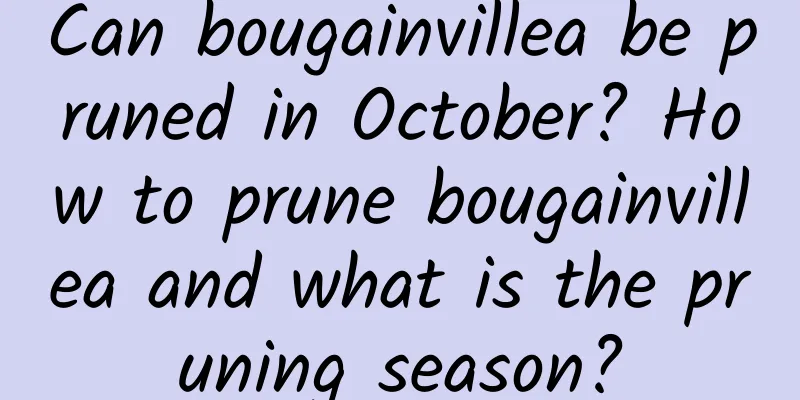Can bougainvillea be pruned in October? How to prune bougainvillea and what is the pruning season?