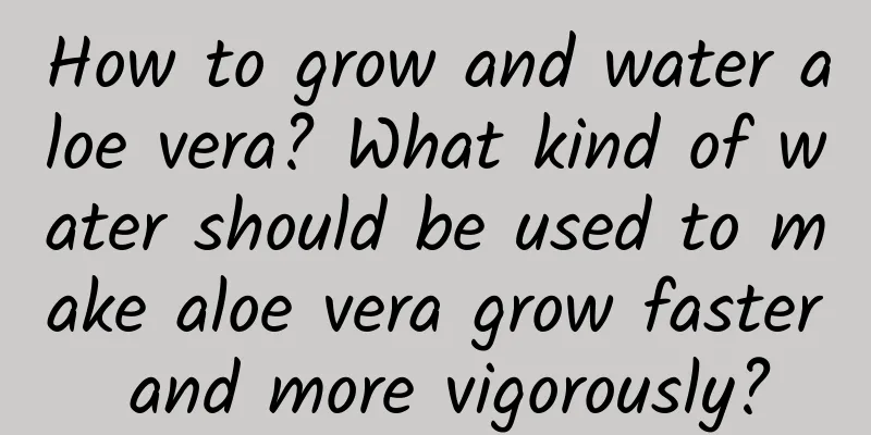 How to grow and water aloe vera? What kind of water should be used to make aloe vera grow faster and more vigorously?