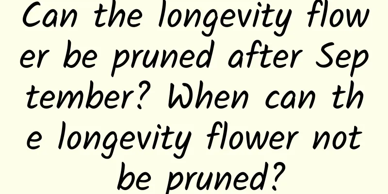 Can the longevity flower be pruned after September? When can the longevity flower not be pruned?