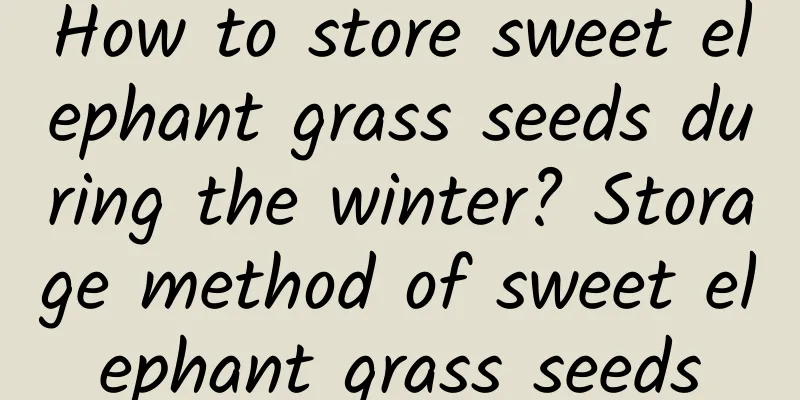 How to store sweet elephant grass seeds during the winter? Storage method of sweet elephant grass seeds