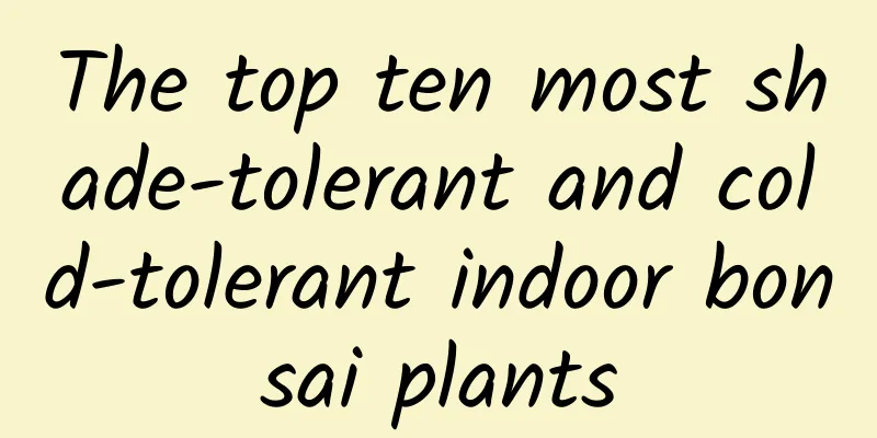 The top ten most shade-tolerant and cold-tolerant indoor bonsai plants