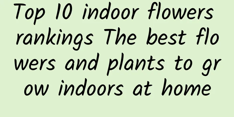 Top 10 indoor flowers rankings The best flowers and plants to grow indoors at home