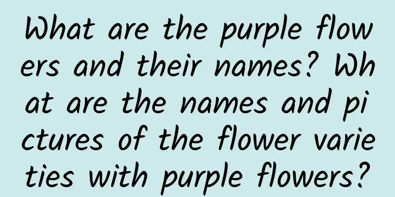 What are the purple flowers and their names? What are the names and pictures of the flower varieties with purple flowers?