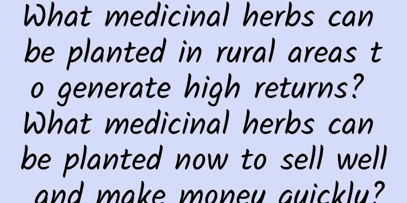 What medicinal herbs can be planted in rural areas to generate high returns? What medicinal herbs can be planted now to sell well and make money quickly?