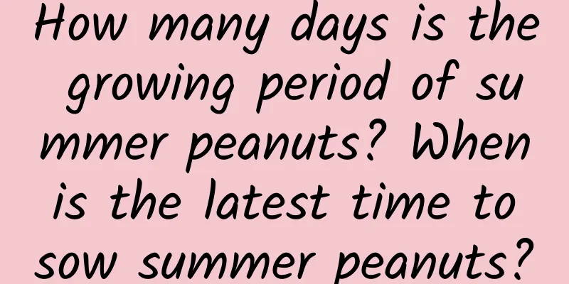 How many days is the growing period of summer peanuts? When is the latest time to sow summer peanuts?