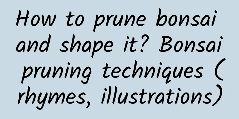 How to prune bonsai and shape it? Bonsai pruning techniques (rhymes, illustrations)