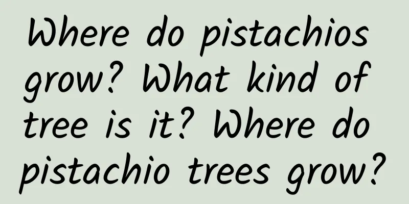 Where do pistachios grow? What kind of tree is it? Where do pistachio trees grow?