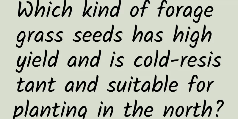 Which kind of forage grass seeds has high yield and is cold-resistant and suitable for planting in the north?