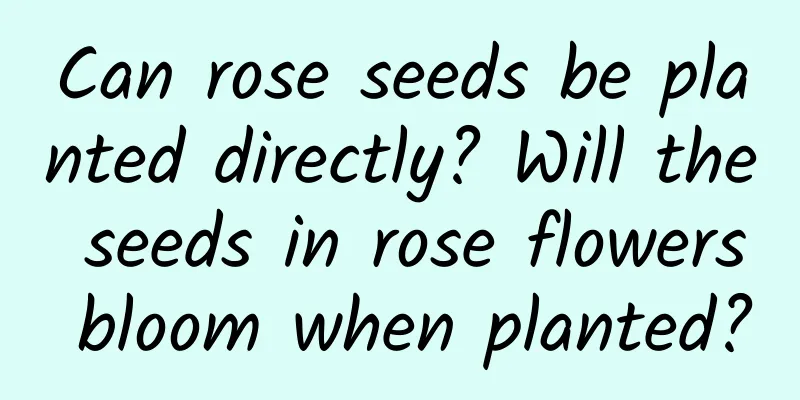 Can rose seeds be planted directly? Will the seeds in rose flowers bloom when planted?