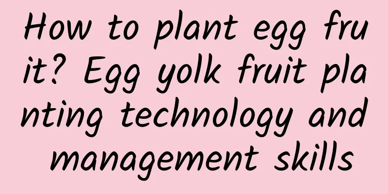 How to plant egg fruit? Egg yolk fruit planting technology and management skills