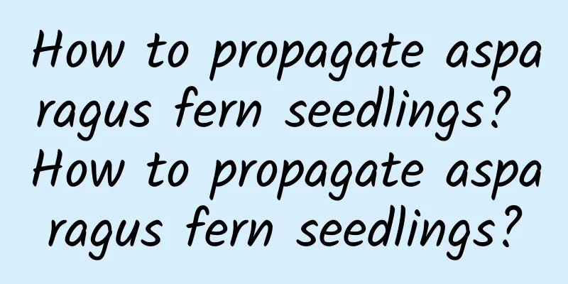 How to propagate asparagus fern seedlings? How to propagate asparagus fern seedlings?
