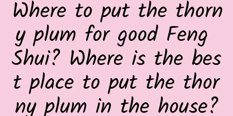 Where to put the thorny plum for good Feng Shui? Where is the best place to put the thorny plum in the house?