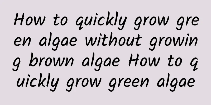 How to quickly grow green algae without growing brown algae How to quickly grow green algae