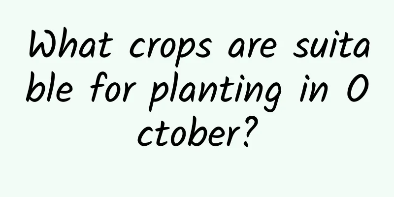 What crops are suitable for planting in October?