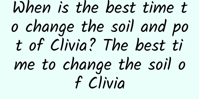 When is the best time to change the soil and pot of Clivia? The best time to change the soil of Clivia