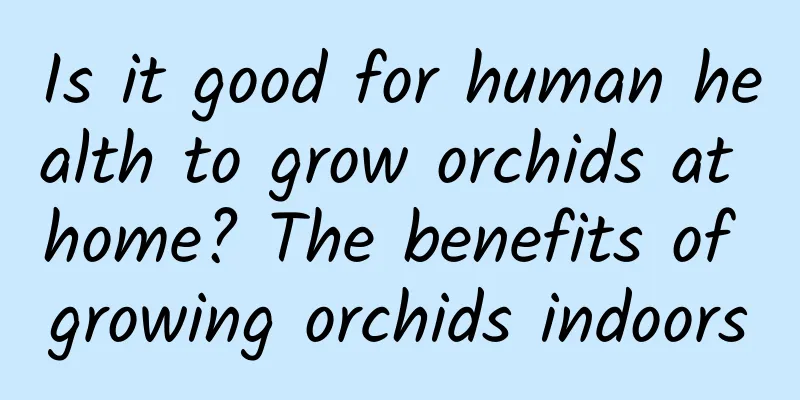 Is it good for human health to grow orchids at home? The benefits of growing orchids indoors