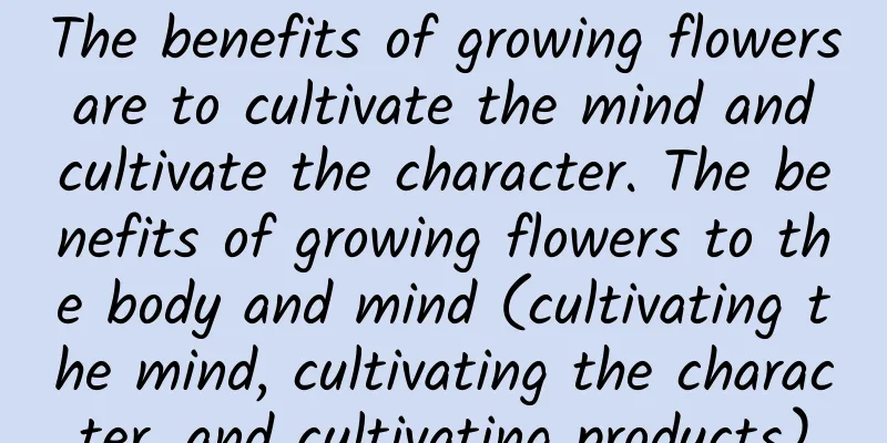 The benefits of growing flowers are to cultivate the mind and cultivate the character. The benefits of growing flowers to the body and mind (cultivating the mind, cultivating the character, and cultivating products)