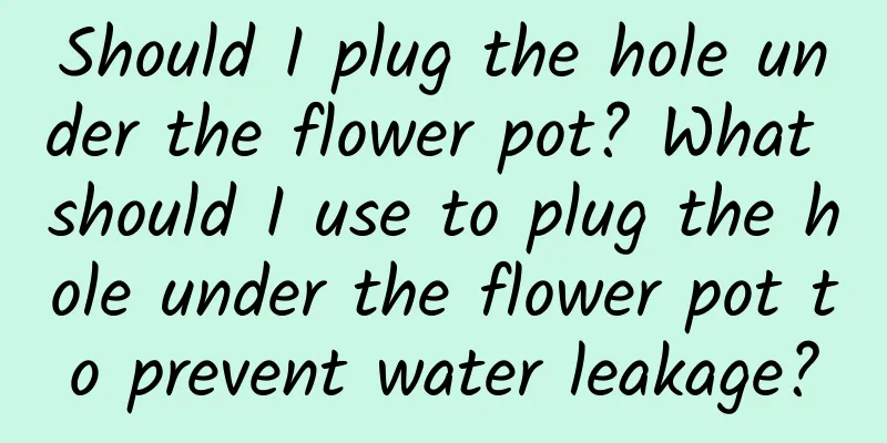 Should I plug the hole under the flower pot? What should I use to plug the hole under the flower pot to prevent water leakage?