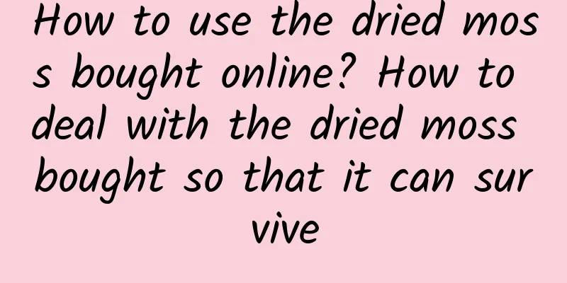 How to use the dried moss bought online? How to deal with the dried moss bought so that it can survive