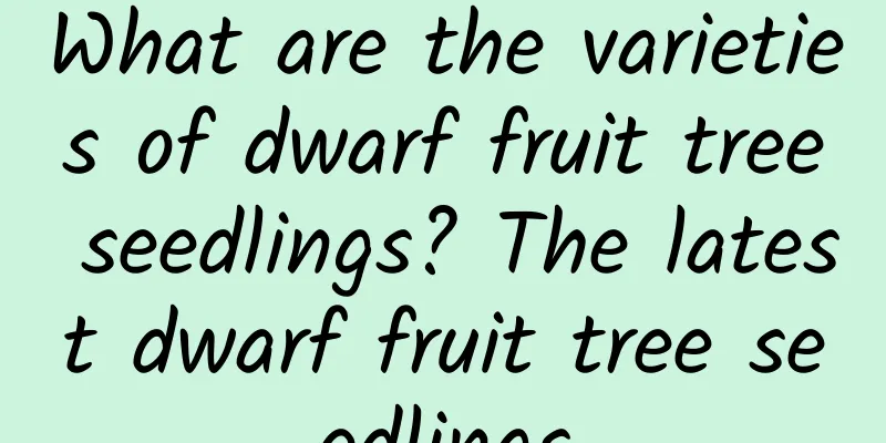 What are the varieties of dwarf fruit tree seedlings? The latest dwarf fruit tree seedlings