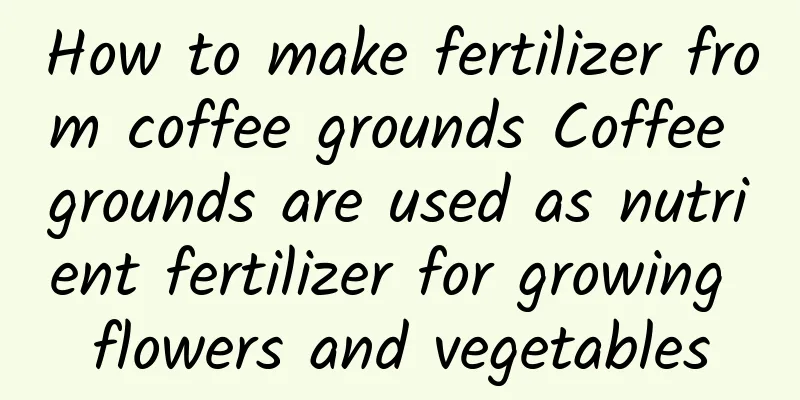 How to make fertilizer from coffee grounds Coffee grounds are used as nutrient fertilizer for growing flowers and vegetables