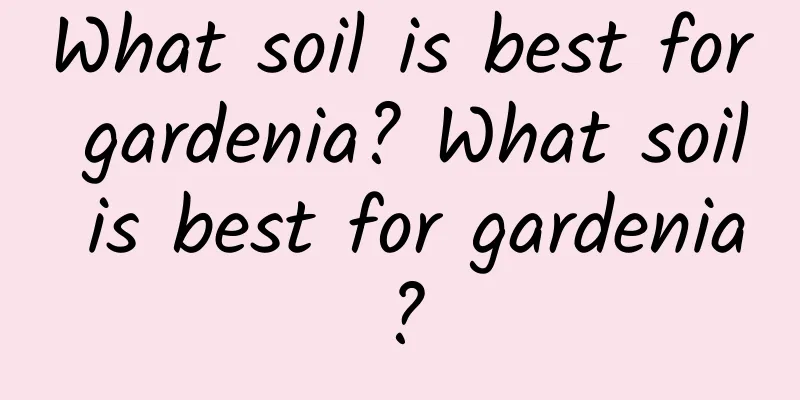 What soil is best for gardenia? What soil is best for gardenia?