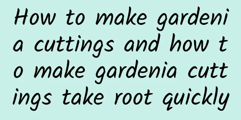 How to make gardenia cuttings and how to make gardenia cuttings take root quickly