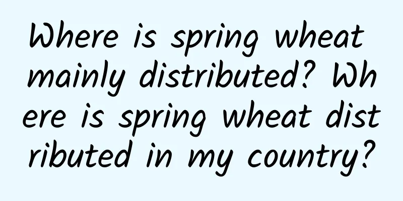 Where is spring wheat mainly distributed? Where is spring wheat distributed in my country?