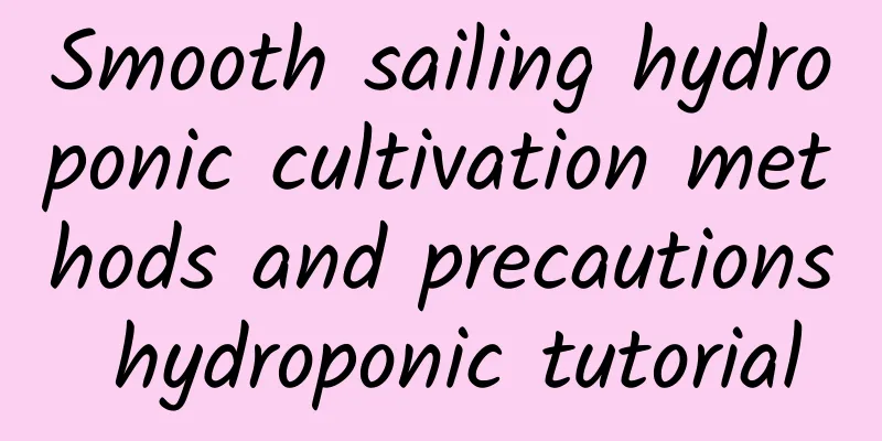 Smooth sailing hydroponic cultivation methods and precautions hydroponic tutorial