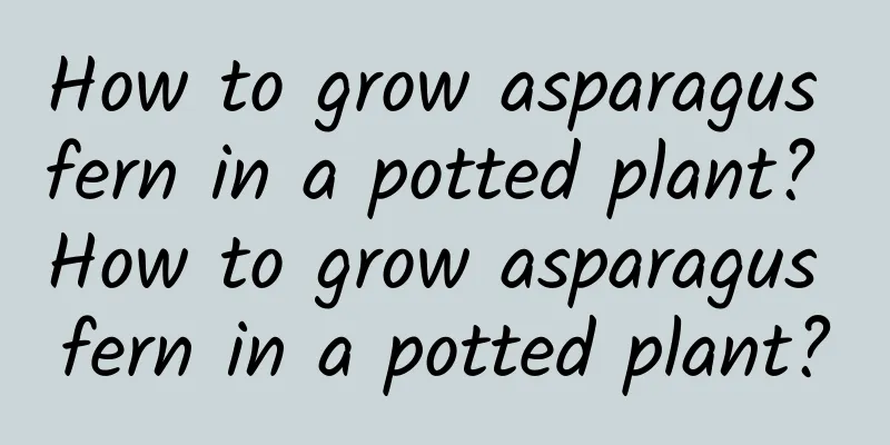 How to grow asparagus fern in a potted plant? How to grow asparagus fern in a potted plant?