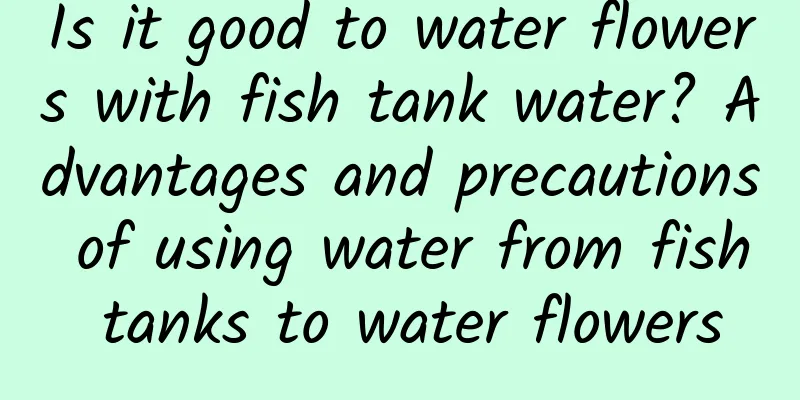 Is it good to water flowers with fish tank water? Advantages and precautions of using water from fish tanks to water flowers